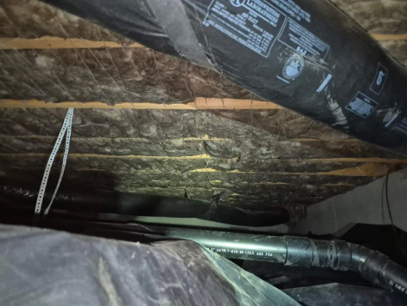 Crawl Space Transformation