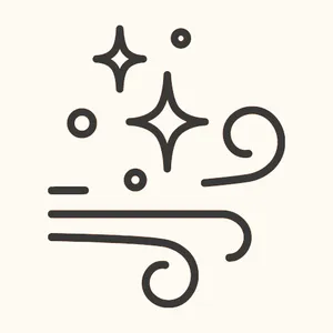 Clean attic inspection and restoration service in Everett WA