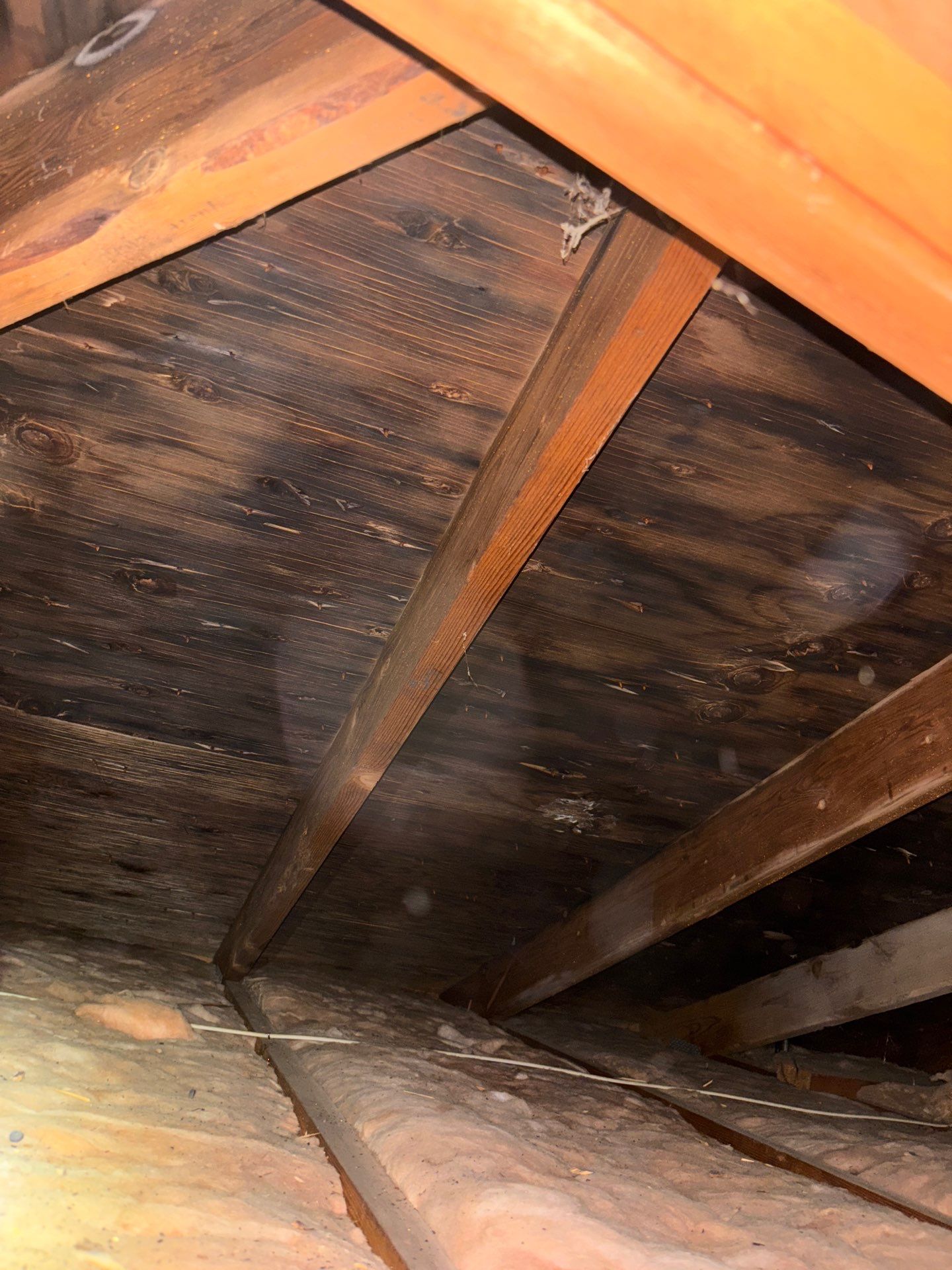 Attic and Crawlspace Problems Often Start Together