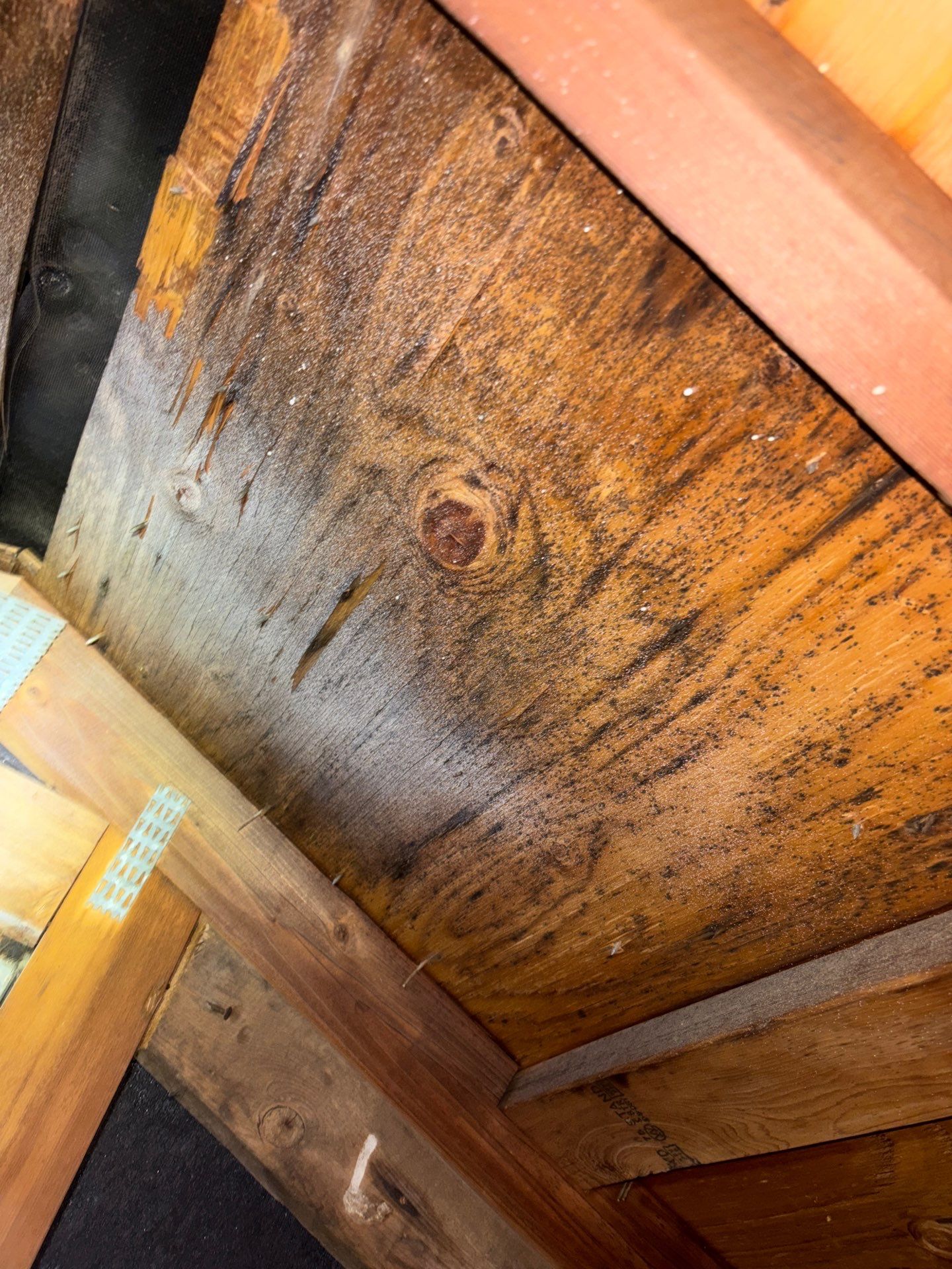 How Hidden Areas Affect Air Quality in Your Home