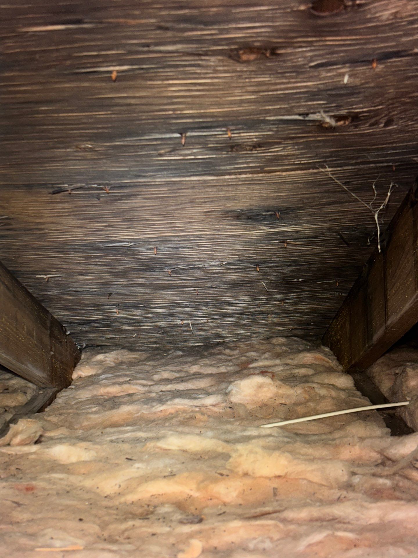 Why Wet Insulation Should Never Be Ignored