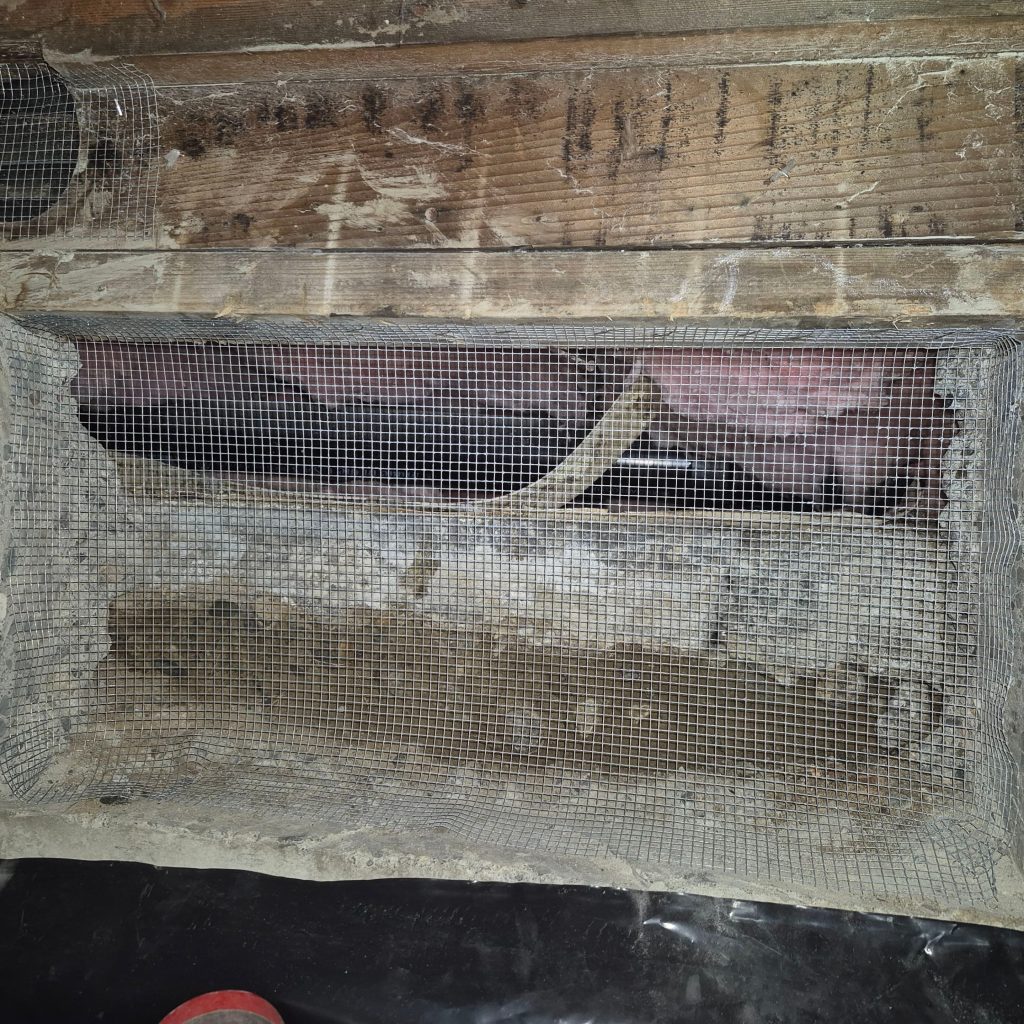 Animal Exclusion 6