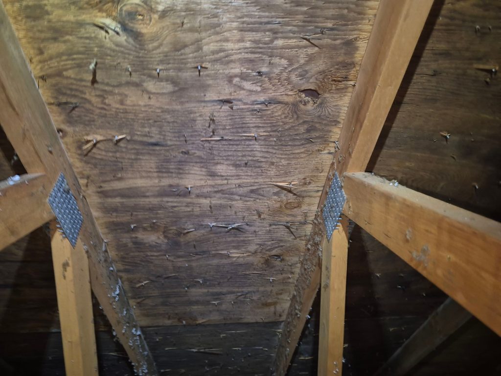 Mold Remediation 10