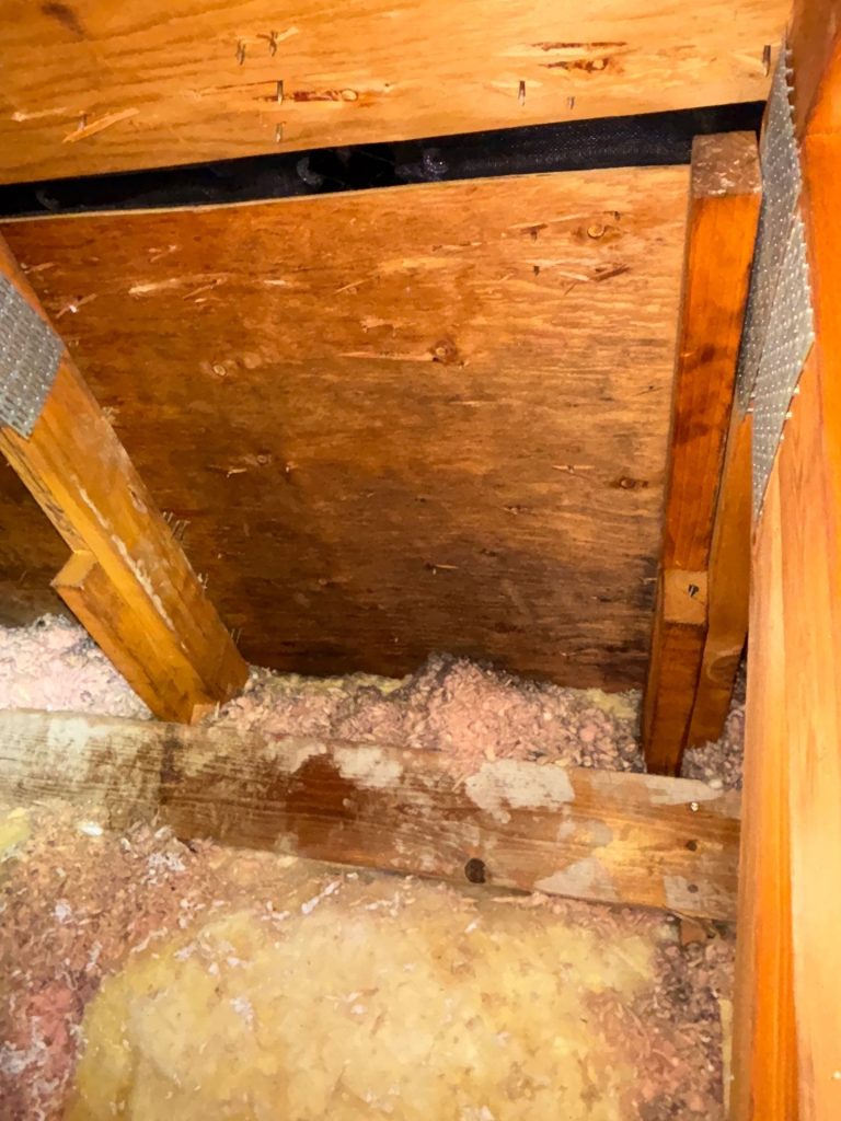 Mold Remediation 2
