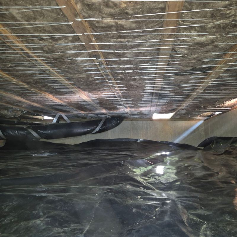 Warning Signs Your Crawl Space Needs Cleaning