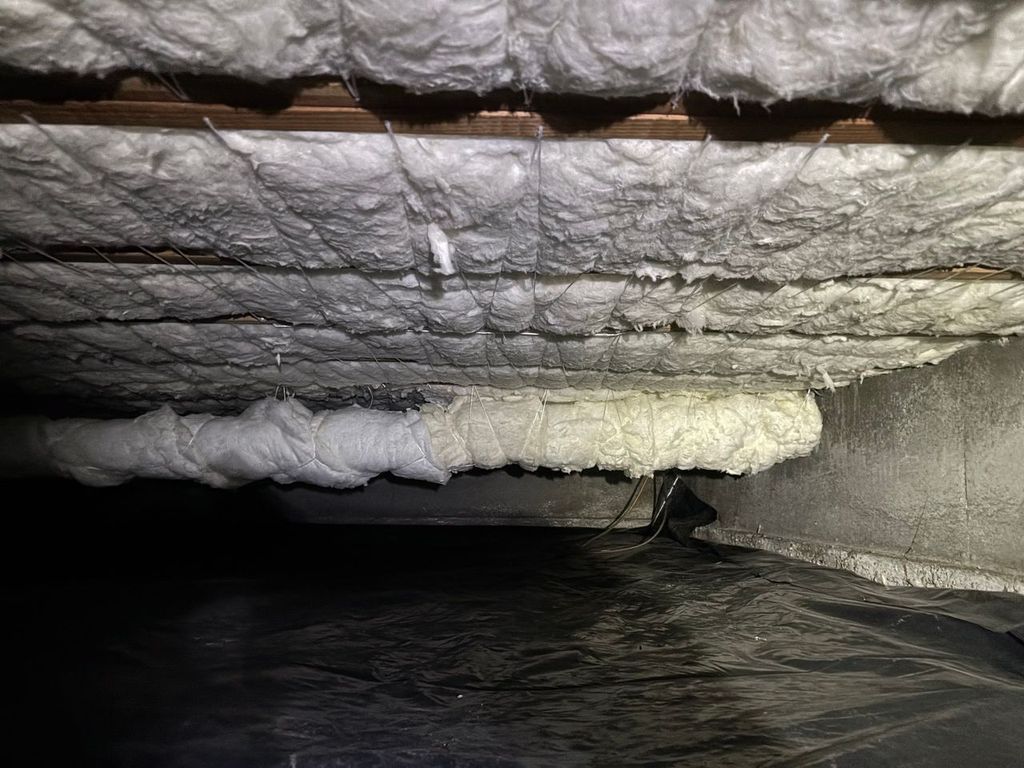 What Causes Musty Smells in Your Home?