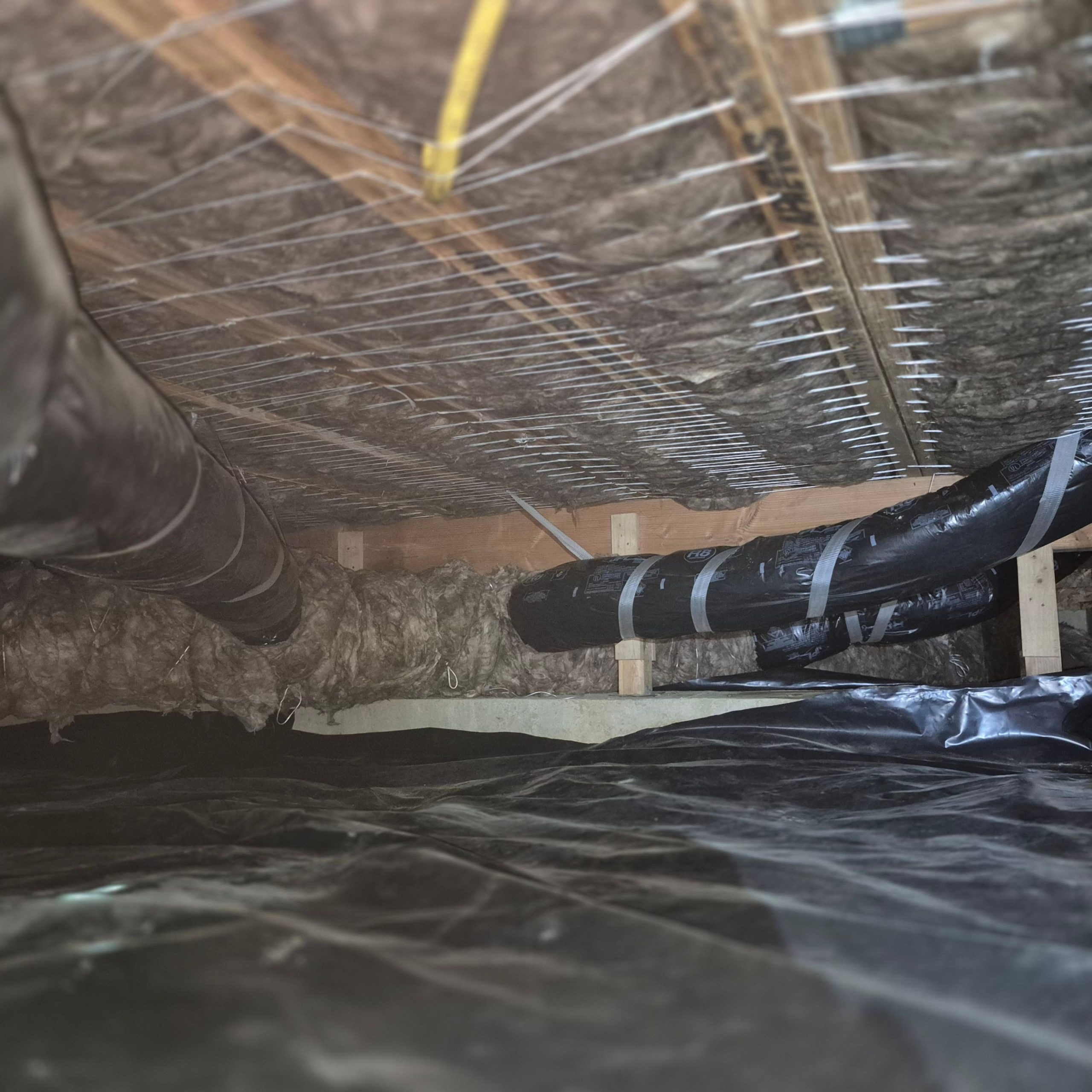 Crawl Space Cleaning vs Full Revitalization